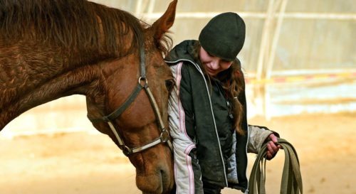 Equiherds platform overview